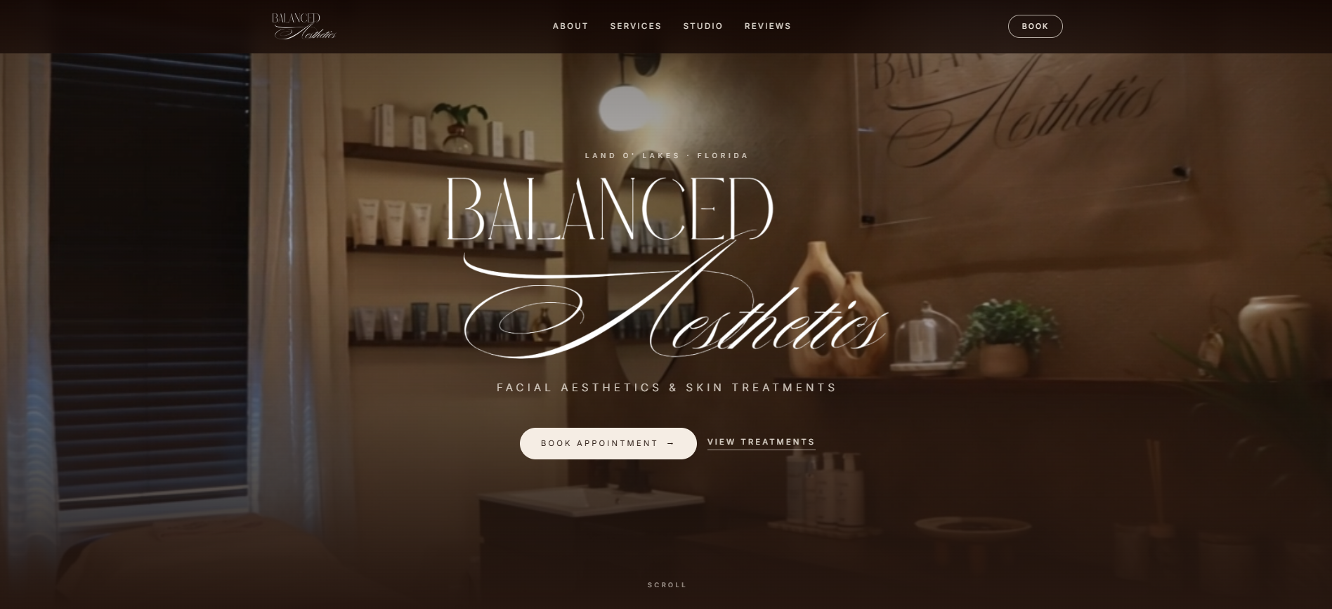 Balanced Aesthetics website preview
